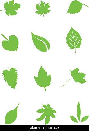 Ensemble d'éléments de conception feuilles vert Illustration de Vecteur