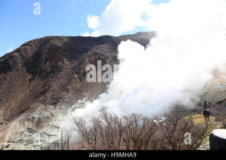 Volcaniques d'Hakone, Tokyo, Japon Banque D'Images