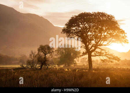 Belle misty brouillard lever du soleil sur l'automne campagne entourant Crummock Water dans la région de Lake District en Angleterre Banque D'Images