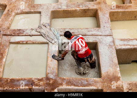 Un travailleur de la Tannerie travaillant dans une petite tannerie dans la médina, Fès el Bali, FES, Maroc Banque D'Images