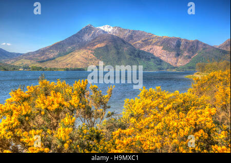 Lochaber Geopark Ecosse Loch Leven uk vue de Glen Coe avec montagnes enneigées et fleurs jaunes et juste à côté de la B863 Banque D'Images