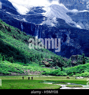 Paysage de Daocheng Yading county, Sichuan Province, China Banque D'Images