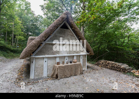 Anglo saxon house recréées à Weald & Downland Museum, Chichester, West Sussex Banque D'Images