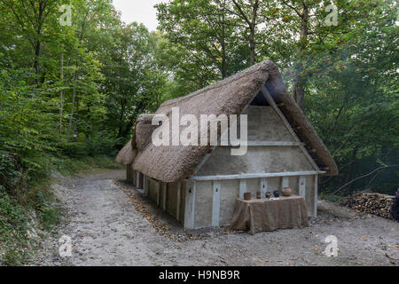 Anglo saxon house recréées à Weald & Downland Museum, Chichester, West Sussex Banque D'Images