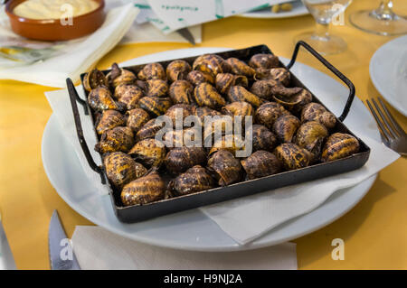Plat traditionnel catalan 'caragols al Forn" (escargots cuit au four) servi dans un restaurant de Barcelone, Catalogne, Espagne. Banque D'Images