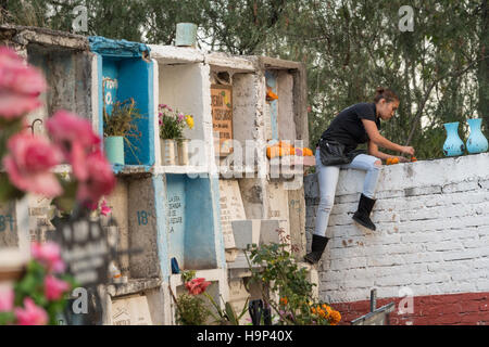 Une femme mexicaine prend des fleurs à la tombe d'un parent à l'Nuestra Se-ora de Guadalupe cemetery pendant le jour de la fête des morts le 1 novembre, 2016 à San Miguel de Allende, Guanajuato, Mexique. La semaine de célébration est un moment où les Mexicains bienvenue les morts à la terre pour une visite et célébrer la vie. Banque D'Images