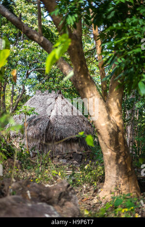 Une hutte au toit de chaume au pied du mont Uyelewun dans l'île de Lembata, Lembata, Nusa Tenggara est, Indonésie. Banque D'Images