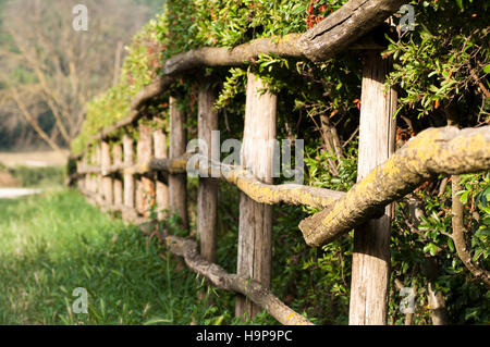 Clôture en bois avec une clôture à la campagne Banque D'Images