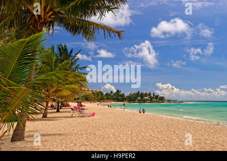 Dover Beach en face de Souther Palms Hotel, St Lawrence Gap, Barbade, Caraïbes. Banque D'Images