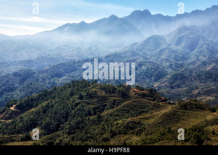 Terrasses de riz, Lao Chai, SAPA, Vietnam, Asie Banque D'Images