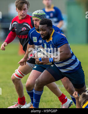 Homme rugby union football player exécutant avec la balle. Banque D'Images