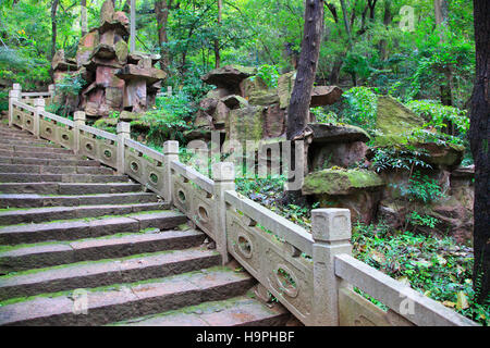 Chine, Zhejiang, Hangzhou, Temple taoïste de Baopu, escaliers, forêt, roches, Banque D'Images