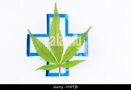 Plante de cannabis médical et signer. La médecine alternative abstract Banque D'Images