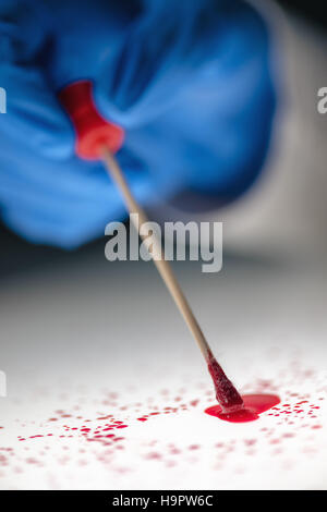 Technicien médico-légale de prendre un échantillon d'ADN à partir de la tache de sang avec un coton-tige sur la scène du crime de meurtre Banque D'Images