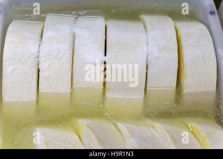 Comte de gruyère fromage jeune dans un bol avec du sel en Franche Comte dairy en Bourgogne, en France. Banque D'Images