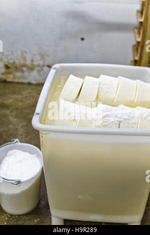 Comte de gruyère fromage jeune dans un bol et le sel, en Franche Comte dairy en Bourgogne, France. Banque D'Images