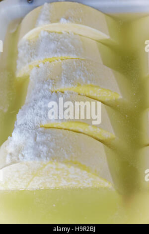 Comte de gruyère fromage jeune dans le bain de sel en Franche Comte dairy en Bourgogne, France. Banque D'Images