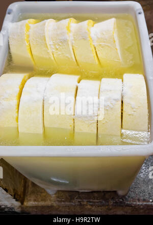 Baignoire avec du sel et les jeunes du comté de gruyère en Franche Comte dairy en Bourgogne, France. Banque D'Images