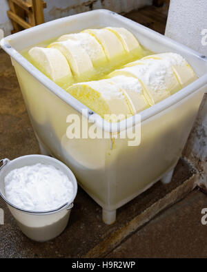 Baignoire avec du sel et les jeunes du comté de gruyère en Franche Comte les produits laitiers, en Bourgogne, France. Banque D'Images