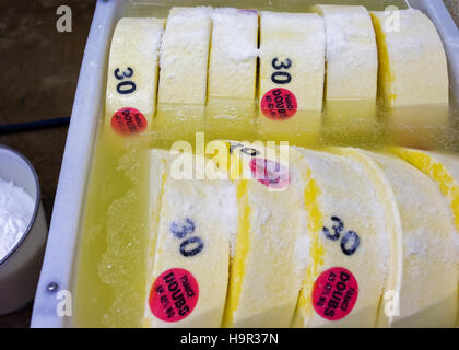 Evillers, France - 31 août 2016 : les jeunes du comté de gruyère dans un bol avec du sel en Franche Comte en Bourgogne laitière de France. Banque D'Images