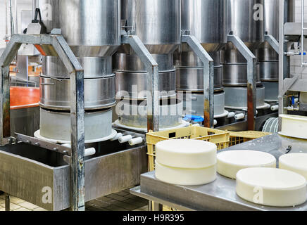 Les jeunes du comté de gruyère enfoncé dans les formes spéciales dans l'industrie laitière en Franche Comte, Bourgogne, de la France. Dans le cadre du processus de production. Banque D'Images