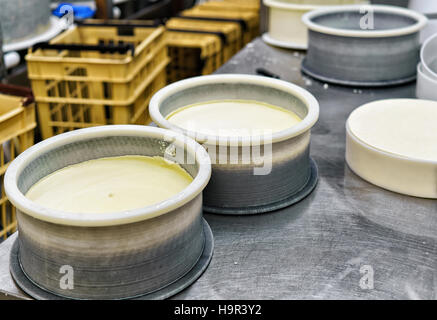 Les jeunes du comté de gruyère enfoncé dans les formes particulières de l'industrie laitière en Franche Comte, Bourgogne, de la France. Comme une partie du processus de la productio Banque D'Images