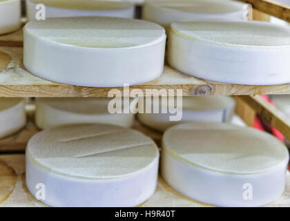 Durée des jeunes du comté de gruyère dans la cave de Franche Comte les produits laitiers en France Banque D'Images