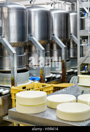 Les jeunes du comté de gruyère enfoncé dans les formes spéciales à la laiterie en Franche Comte, Bourgogne, de la France. Dans le cadre du processus de production. Banque D'Images