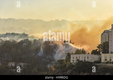 Haïfa, Israël. 24 novembre, 2016. Un terrible incendie, Haïfa, Israël. 24 Nov, 2016. Crédit : Natalia Zaika/Alamy Live News Banque D'Images