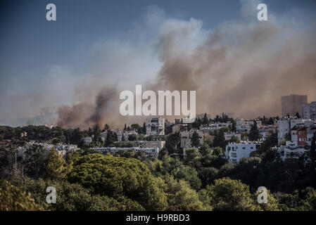 Haïfa, Israël. 24 Nov, 2016. Un incendie est vu à Haïfa, Israël, 24 novembre 2016. Les incendies sur une évacuation forcée jeudi généralisée à Haïfa. Des dizaines de milliers d'habitants ont été forcés d'évacuer de autour de 11 quartiers de Haïfa, avec l'Université d'Haïfa et de nombreuses entreprises. © Maya Moran/JINI/Xinhua/Alamy Live News Banque D'Images
