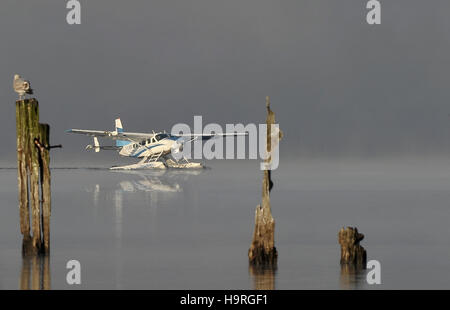 Balloch, West Dunbartonshire, Ecosse, Royaume-Uni. 24 novembre, 2016. L'Écosse par temps froid. Seagull assis sur une vieille jetée en bois montres rotton d'égalité l'hydravion sur le Loch Lomond. G-LAUD. Siège neuf Cessna 208 Caravan amphibie. Le Loch Lomond seaplanes. Le Loch Lomond pier. Balloch. Dunbartonshire de l'Ouest. L'Écosse. UK. 24/11/2016. Credit : Sport en images/Alamy Live News Banque D'Images