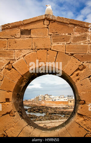 Belle vieille ville portuaire d'Essaouira, Maroc, Afrique du Nord Banque D'Images