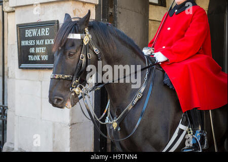 Londres - le 31 octobre 2016 Queen's Life : Canada Garde côtière canadienne de la Household Cavalry est assis sur son cheval dans une arche face à Whitehall. Banque D'Images