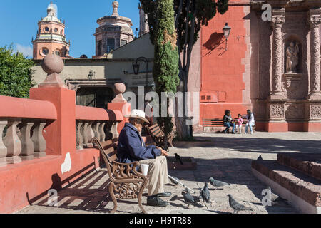 Un vieil homme mexicain se nourrit les pigeons en face de l'Oratorio de San Felipe Neri Eglise dans le patrimoine de l'UNESCO coloniale ville de San Miguel de Allende, Mexique. Banque D'Images