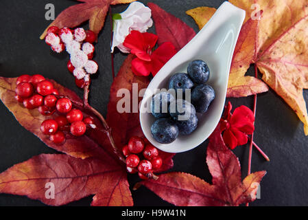 Les baies rouge, bleu avec des feuilles d'érable en fleurs disposées sur une plaque en ardoise foncé Banque D'Images