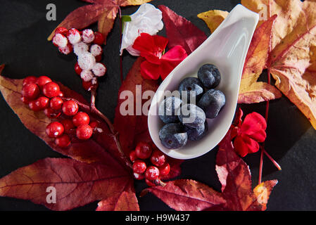 Les baies rouge, bleu avec des feuilles d'érable en fleurs disposées sur une plaque en ardoise foncé Banque D'Images