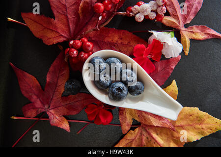 Les baies rouge, bleu avec des feuilles d'érable en fleurs disposées sur une plaque en ardoise foncé Banque D'Images