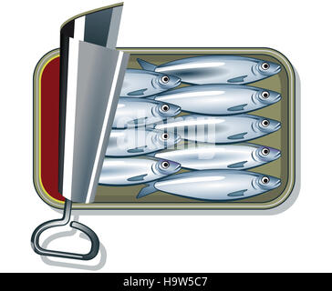 sardines à l’huile Banque D'Images