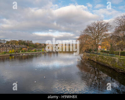 Belle journée d'automne sur la rivière Wharfe, Otley, avec Wharfemeadows Park dans l'arrière-plan Banque D'Images