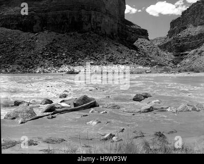 Une photo historique du fleuve Colorado dans le parc national du Grand Canyon, montrant l'importance du fleuve dans le paysage naturel du parc et son rôle dans la formation de la géologie et de l'écosystème du canyon. Banque D'Images