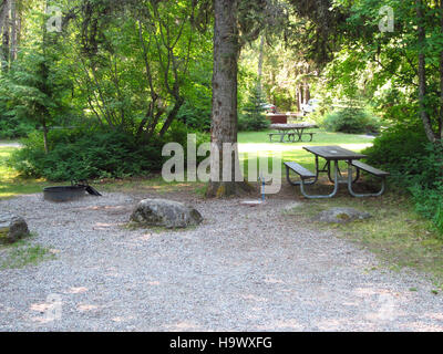 L'image 'Sprague Creek Picnic Area, Lake McDonald' montre une vue panoramique de l'un des endroits populaires du parc national des glaciers. Située près du lac McDonald, cette région est connue pour son magnifique environnement naturel, idéal pour les pique-niques et les activités de plein air. L'atmosphère paisible et la vue sur le lac sont caractéristiques des paysages magnifiques du parc. Banque D'Images