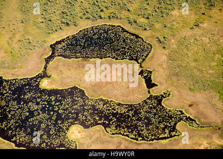 Cette photographie en noir et blanc de 1923 montre un moment de l’histoire de l’Alaska, capturé par le photographe Kova. Il donne un aperçu de la vie au début du XXe siècle en Alaska, avec un accent sur les gens et le paysage. Banque D'Images