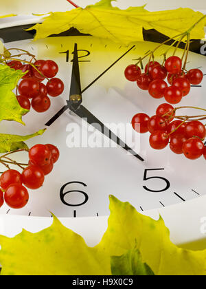 5 heures. Horloge avec des feuilles et du viburnum. Banque D'Images