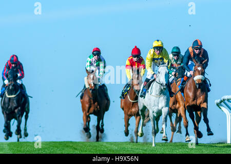 Les courses de chevaux à Brighton Racecourse Banque D'Images