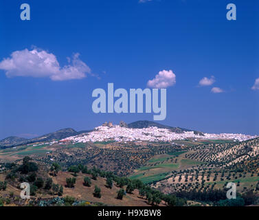 La white hill village de Olvera, Andalousie, Espagne Banque D'Images