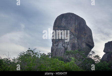 Les animaux sauvages du parc national de Yala département du Sri Lanka. Banque D'Images