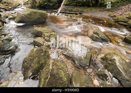 L'eau en crue à Henrhyd Cascade, Powys, Pays de Galles. Banque D'Images