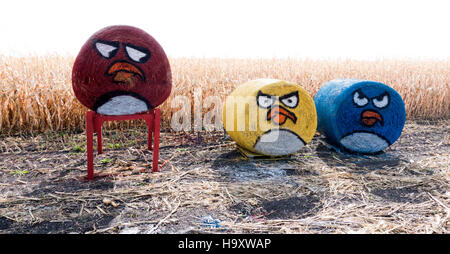 Angry oiseaux peints sur les agriculteurs round hay bails au bord d'un champ de maïs de la ferme. Underwood Minnesota MN USA Banque D'Images