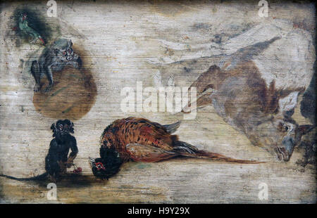 Etude de Monkeys un cerf et d'autres animaux 1623 par Jan Brueghel (aussi Bruegel) le jeune 1601-1678.Flamand Baroque peintre Banque D'Images