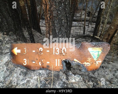 L'incendie du complexe Douglas, un incendie de forêt majeur, souligne les efforts du département de l'Agriculture des États-Unis en matière de gestion des incendies de forêt et de restauration de la santé des forêts. Banque D'Images